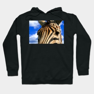 Zebra Graze Hoodie